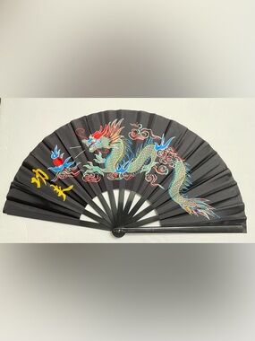 CHINESE MARTIAL ART  BLACK PLASTIC KUNG FU TAI CHI TRAINING FAN-Dragon